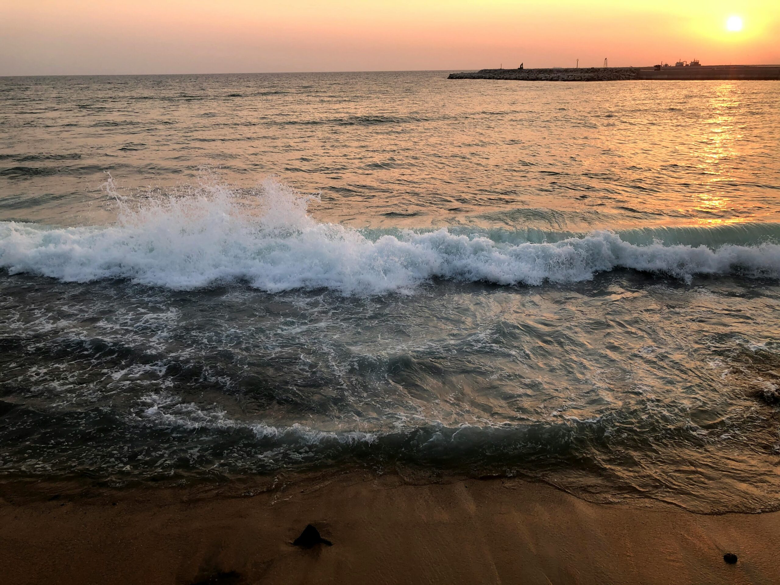 annie-b-paul-8Eaja6z5zg0-unsplash