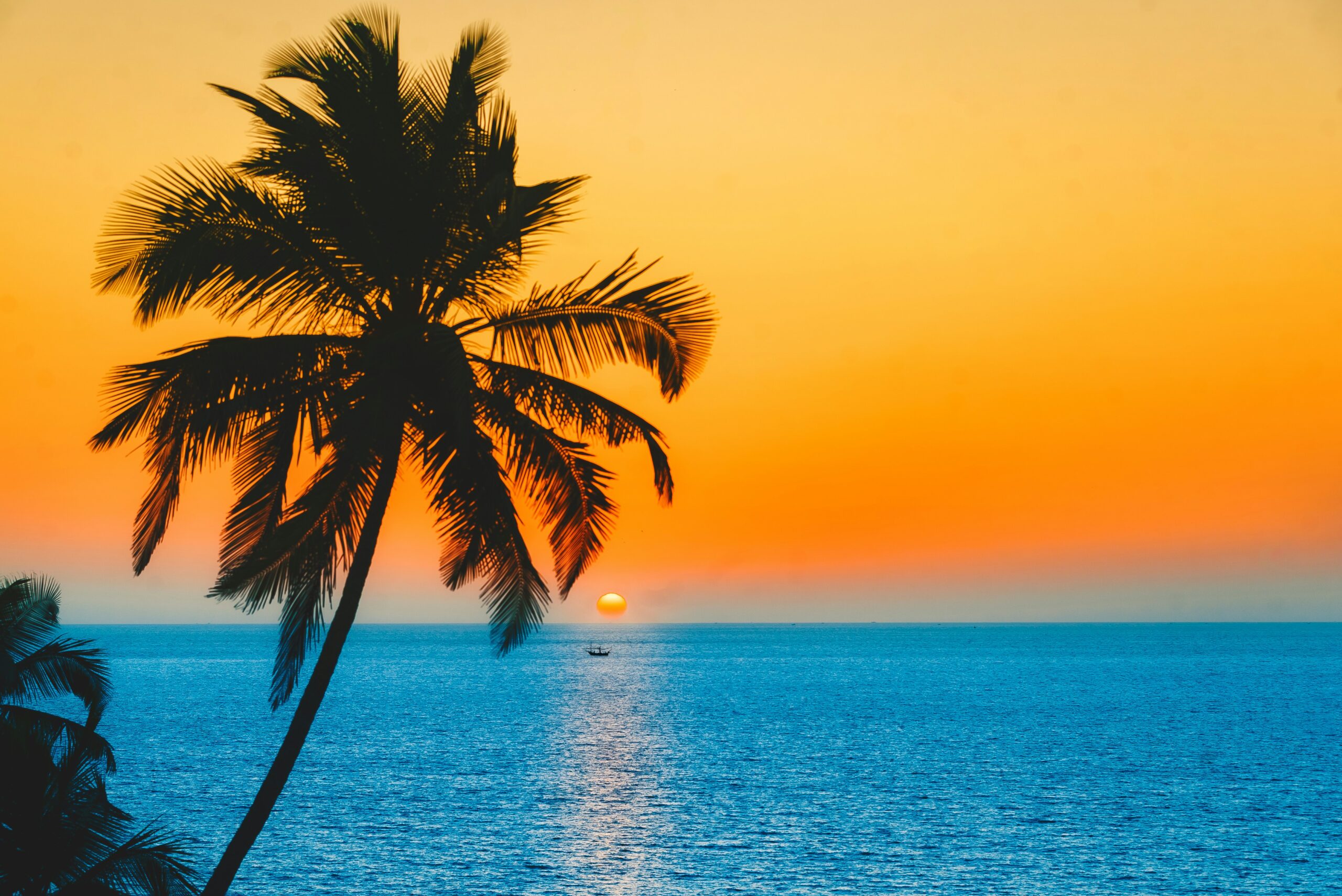 ashutosh-saraswat-CXyz3qljaH8-unsplash