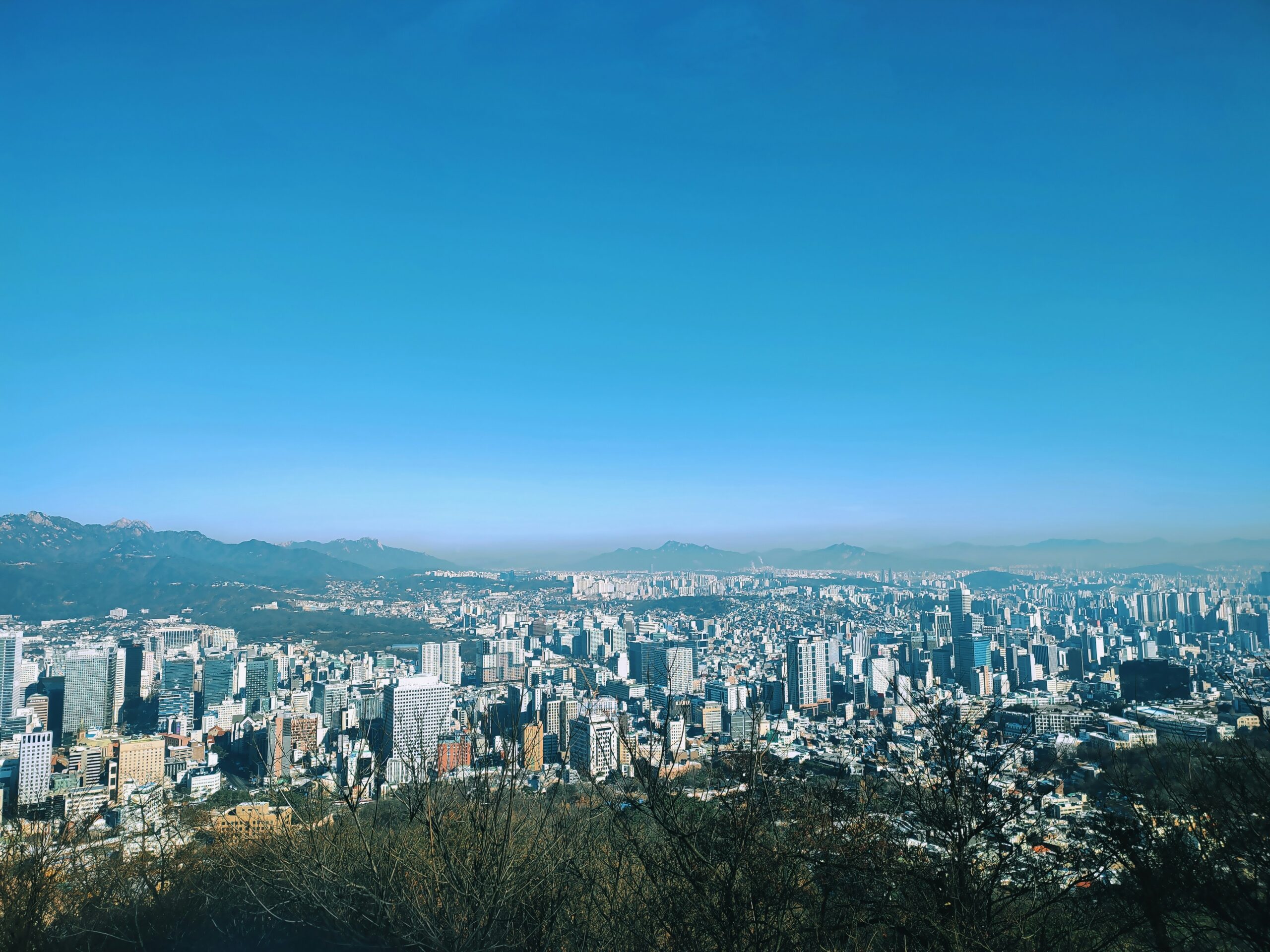 bui-hoang-long-8qrTcWzPQOU-unsplash