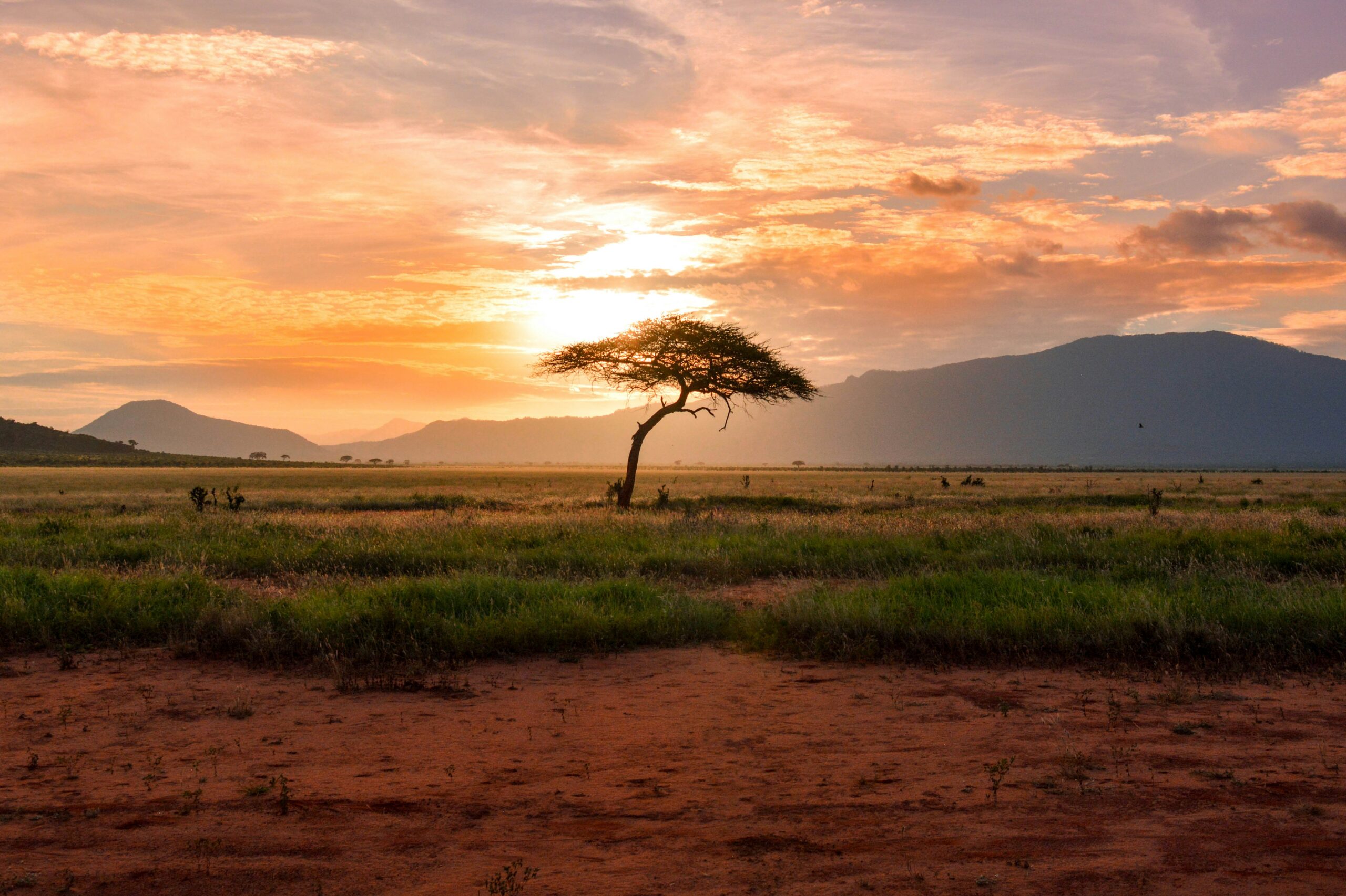 africa-scenery