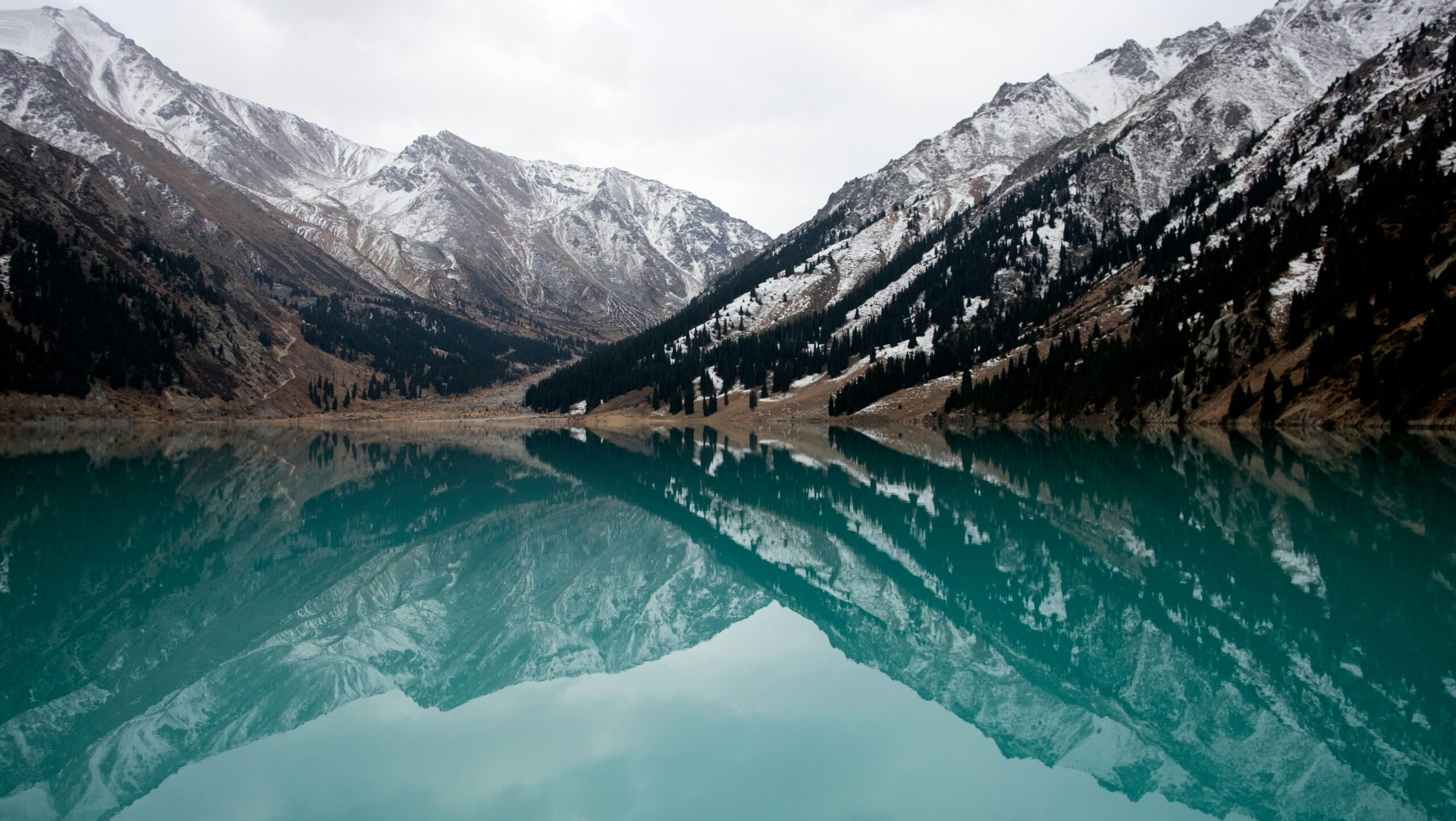 polina-skaia-ToJNyWpDn9I-unsplash
