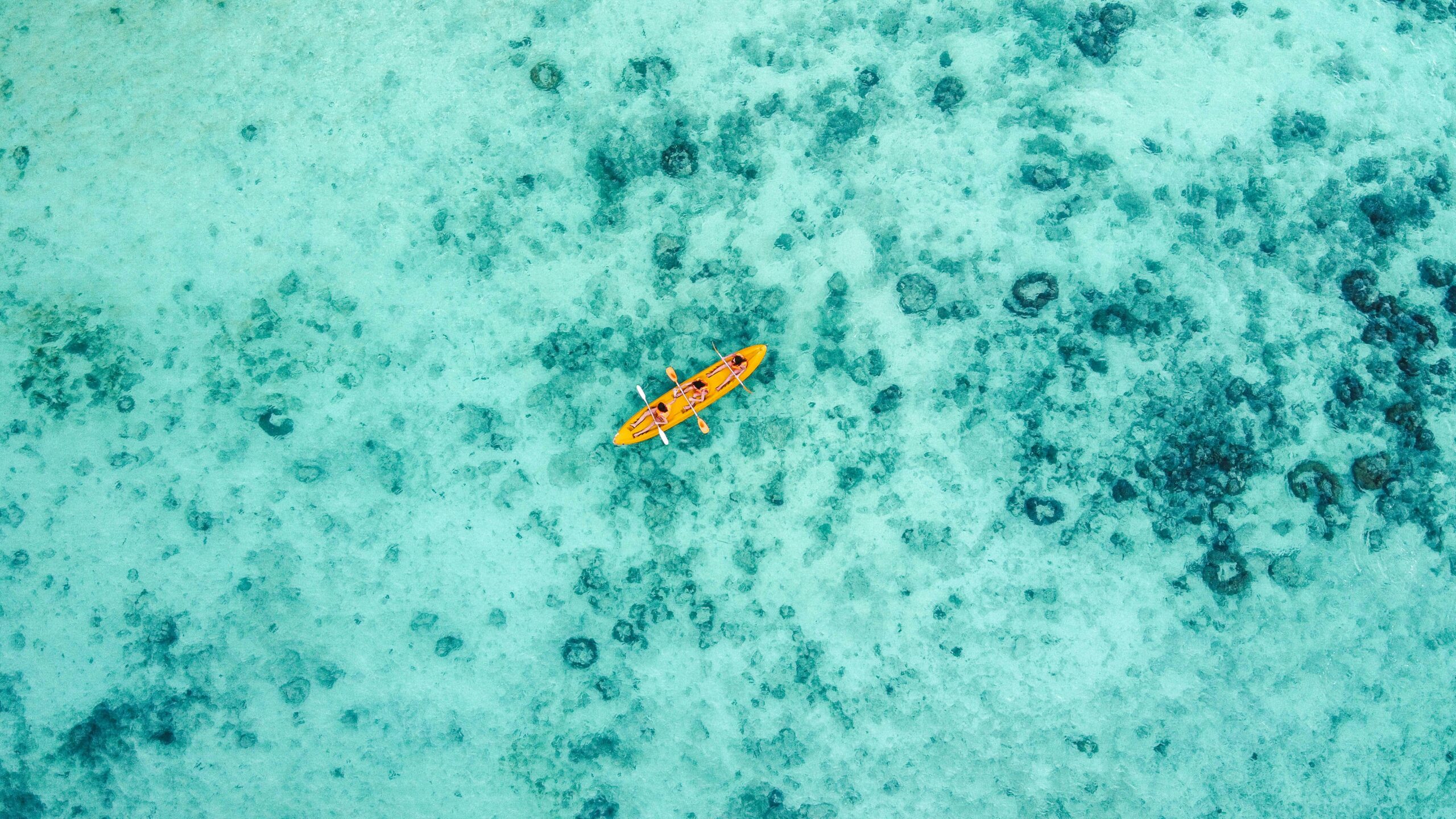 robert-mikoleit-efzK7aQocWM-unsplash