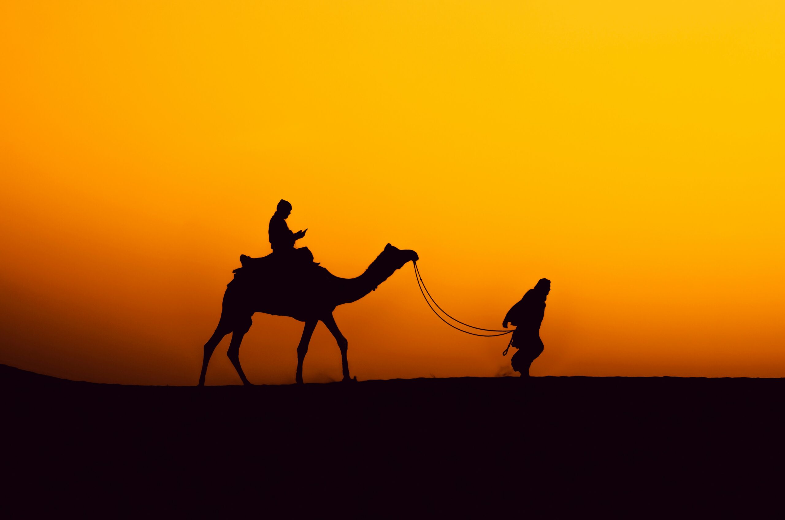 sumit-kr-sau-DmK8oBcHLck-unsplash