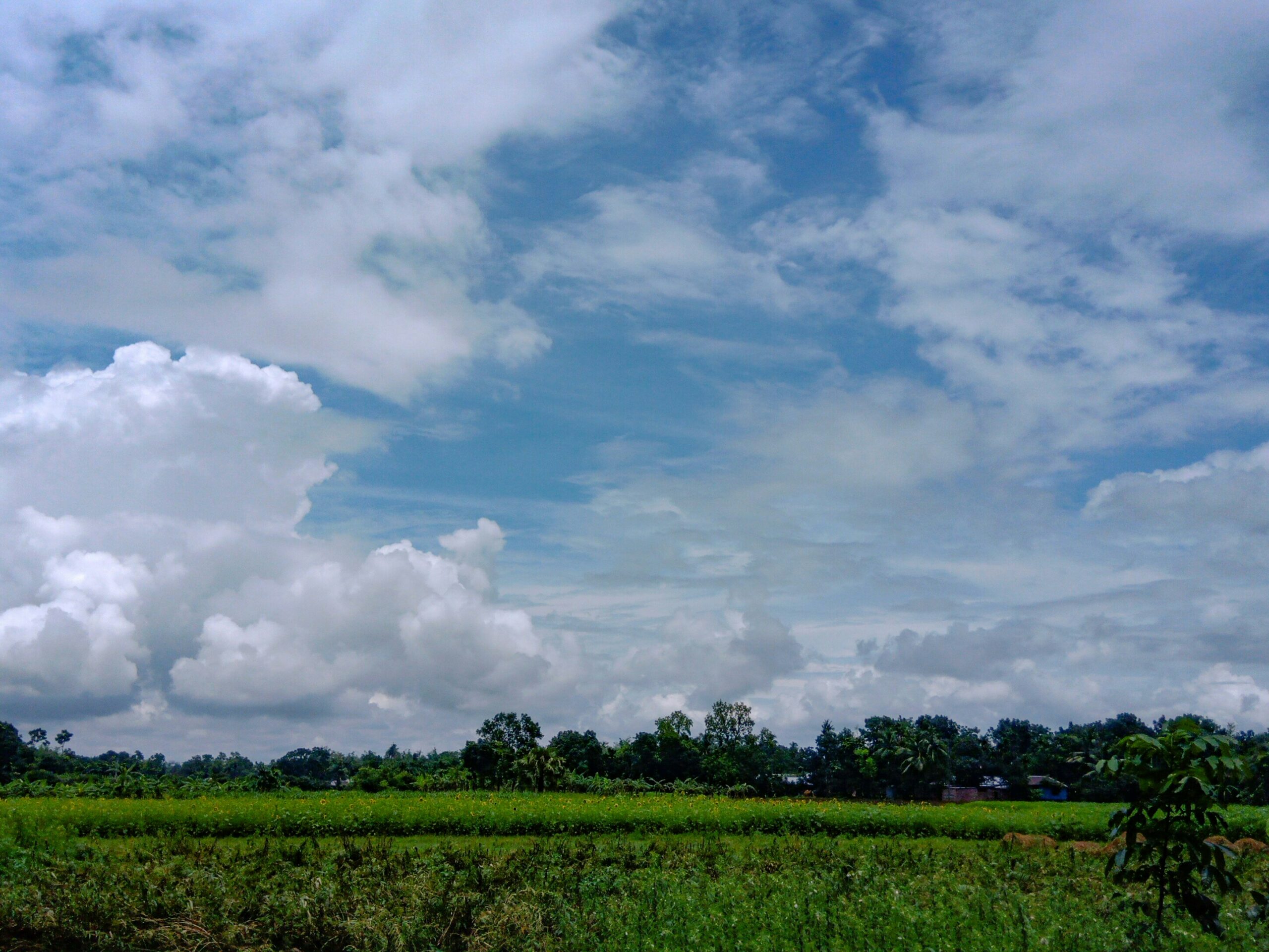 hasnan-monir-HmIRvvtbvtY-unsplash