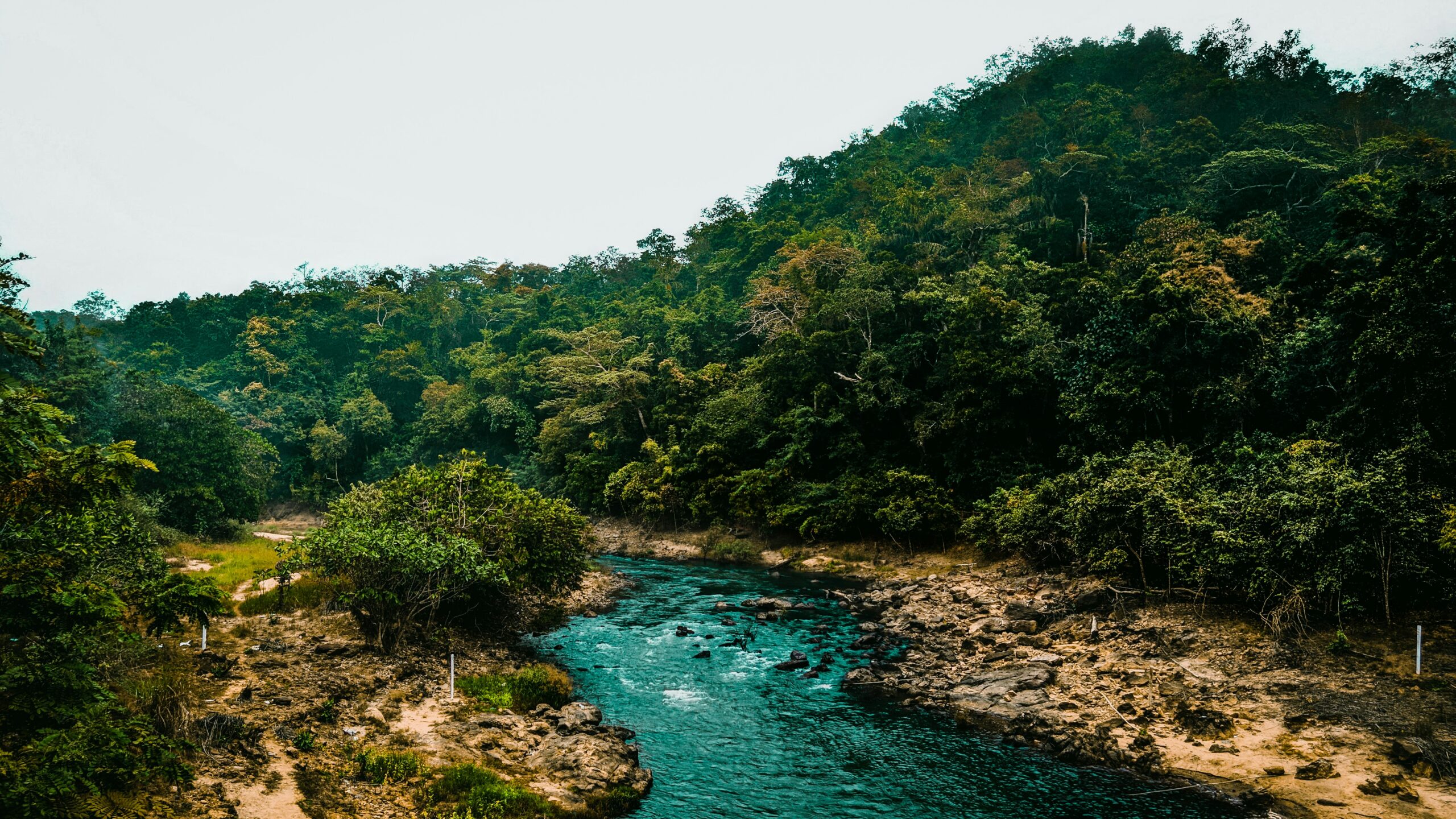 jaswanth-kalaga-RWF4yNAvYyY-unsplash